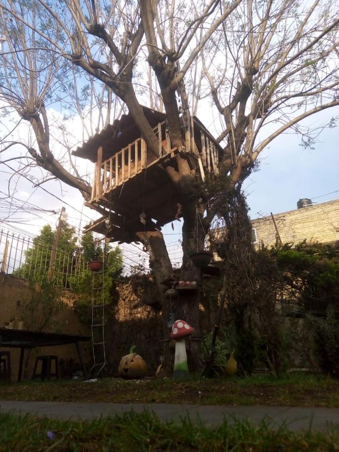 Casita Del Arbol Apartment Mexico City Exterior photo