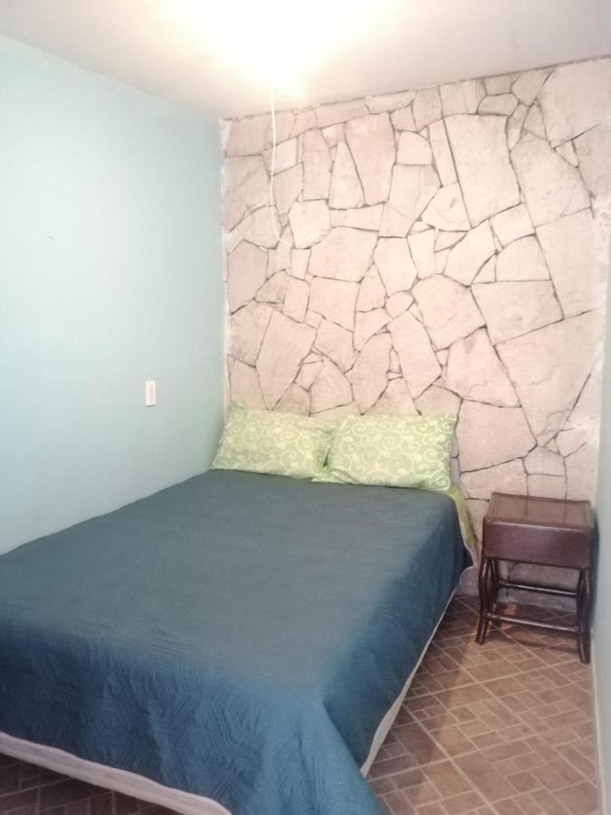 Casita Del Arbol Apartment Mexico City Exterior photo